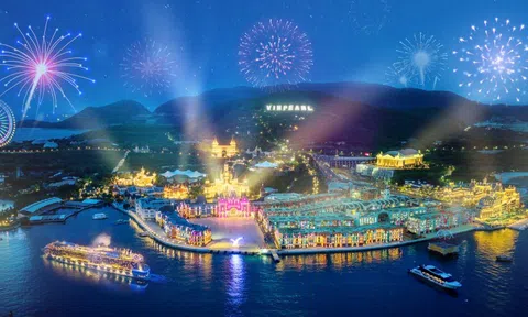 Một cá nhân chi hơn 460 tỷ đồng để mua gần 4,9 triệu cổ phiếu VPL