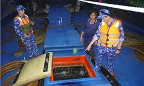 Phát hiện tàu cá vận chuyển trái phép 200.000 lít dầu D.O trên vùng biển Tây Nam