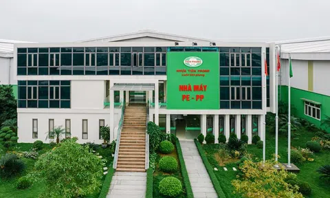 Nhựa Tiền Phong (NTP) chi 256 tỷ đồng tạm ứng cổ tức giữa lúc bị phạt thuế hơn 10 tỷ vì hóa đơn không hợp pháp