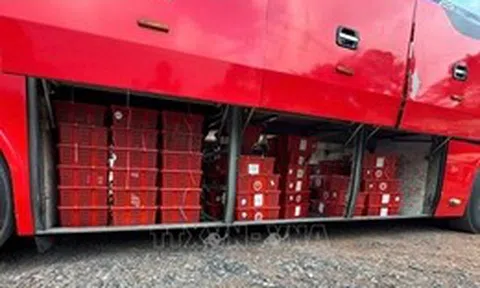 Phát hiện vụ vận chuyển 676 con rắn hổ mang trên xe khách