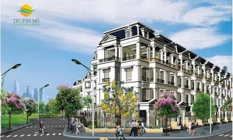 Tập đoàn Đầu tư Thăng Long (TIG): Cổ đông lớn bán ra 4 triệu cổ phiếu, lãi 9 tháng giảm mạnh