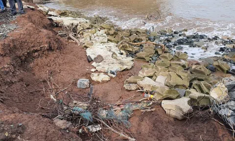Cà Mau phê duyệt dự án chống xói lở bờ biển hơn 185 tỷ đồng