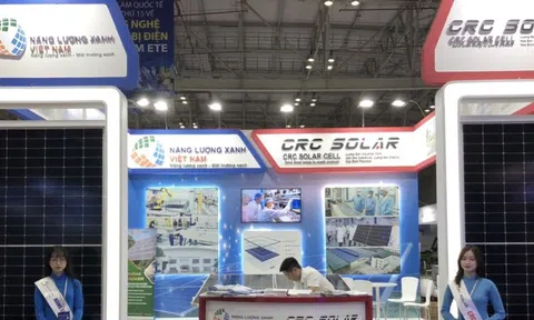 Create Capital (CRC): Báo lãi tăng trưởng 43% giữa hoạt động cổ phiếu bị thao túng giá