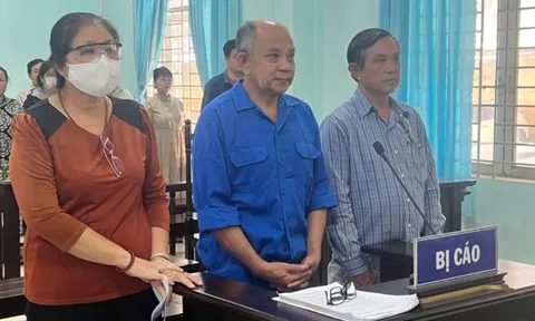 Lý do hoãn phiên tòa xét xử vụ trốn thuế của cựu Giám đốc Công ty Tân Tân