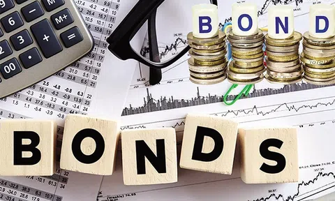 Newco chi hơn 1.600 tỷ đồng tất toán trái phiếu: Hé mở mối quan hệ tín dụng với 'hệ sinh thái' tỷ đô