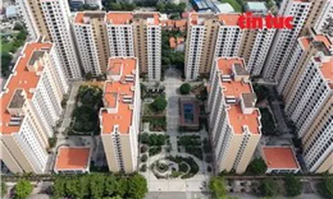 Tìm lời giải cho các dự án nhà ở bị bỏ hoang - Bài 1: Người lao động trẻ chật vật tìm nơi an cư