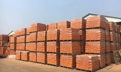 Gia Lai chấp thuận đầu tư Nhà máy Gạch Tuynel 150 tỷ đồng