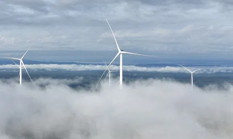 Chính thức vận hành thương mại nhà máy điện gió Savan 1 của T&T Group tại Lào