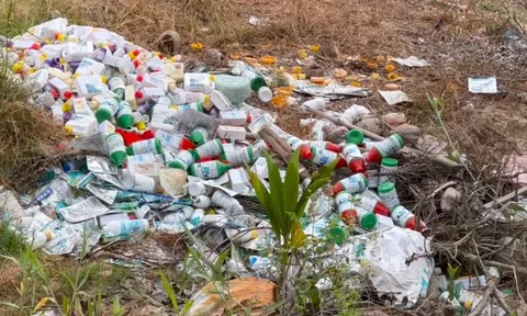 Hồi sinh môi trường đất - Doanh nghiệp không thể đứng ngoài cuộc