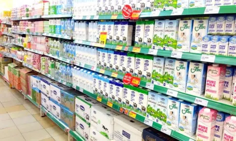 Thị trường sữa tươi Việt Nam: Vinamilk giữ 'ngôi vương' độ phủ, TH True Milk và Cô Gái Hà Lan thắng thế phân khúc ngách