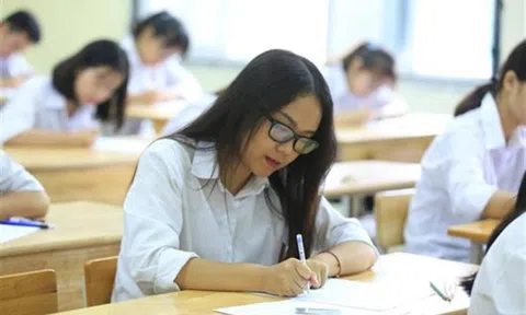 Hơn 6.750 thí sinh dự thi học sinh giỏi quốc gia THPT 2025-2026