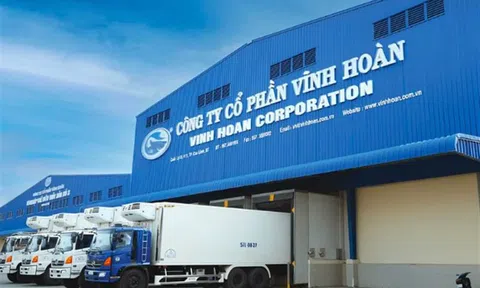 Vĩnh Hoàn (VHC): Cổ phiếu giảm 14%, con gái Chủ tịch chi hơn 300 tỷ đồng mua vào