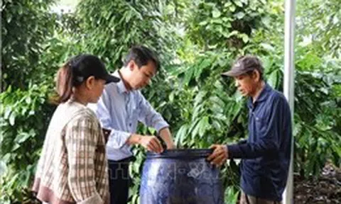 Đắk Lắk tăng tốc ngăn dịch sốt xuất huyết đang lan rộng