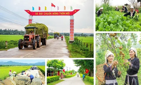 Bộ tiêu chí quốc gia về nông thôn mới giai đoạn 2026 - 2030