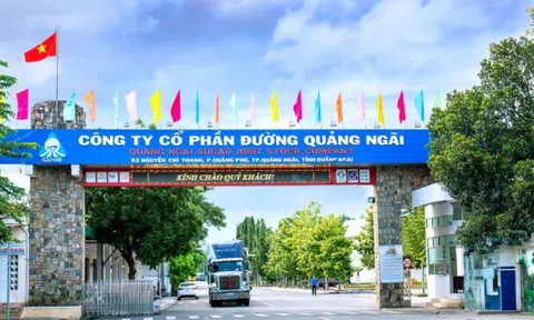 Đường Quảng Ngãi (QNS) sắp chi hơn 367 tỷ đồng để trả cổ tức