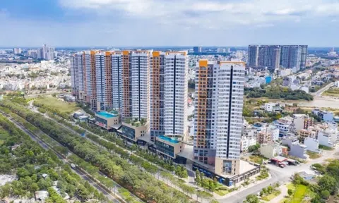 Novaland thoái vốn tại dự án The Sun Avenue, trở thành cổ đông lớn tại Seaprodex