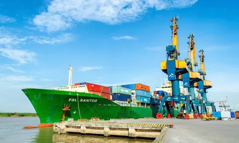 Nhóm Viconship (VSC) mua thêm 14 triệu cổ phiếu Hải An (HAH), củng cố vị thế cổ đông lớn nhất