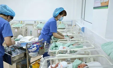 Giữ mức sinh thay thế: Cần can thiệp sớm trước xu hướng sinh thấp kéo dài