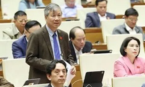 Đại biểu Quốc hội đề xuất đẩy mạnh phát triển y tế tư nhân, phát triển các sản phẩm, dịch vụ y tế số