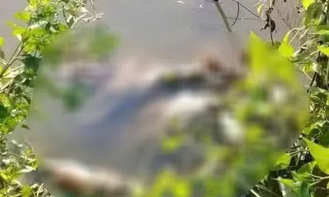 Phát hiện thi thể nữ giới dưới vuông nước, nghi bị sát hại
