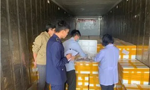 Phát hiện trên 10 tấn cá khoai chứa chất cấm được đưa đi tiêu thụ