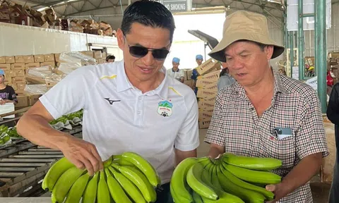 Bầu Đức muốn "dứt tình" với HAGL Agrico