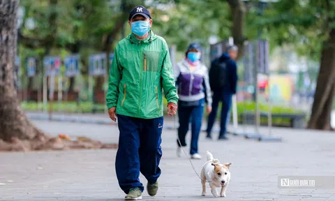 Chủ động ứng phó rét đậm, rét hại tại các tỉnh Bắc Bộ