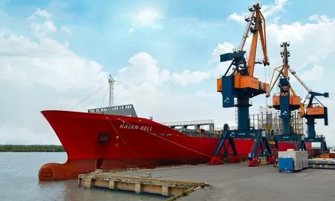 Vận tải và Xếp dỡ Hải An (HAH) rót thêm 140 tỷ đồng vào Hải An Green Shipping Lines