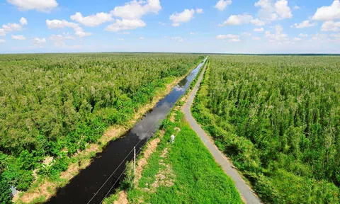 Cà Mau duyệt đề án du lịch rừng U Minh Hạ hơn 1.450 tỷ đồng