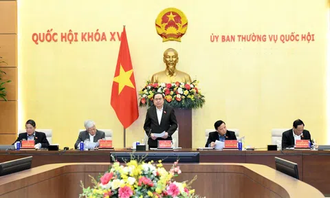 Giới thiệu 145 người ứng cử ĐBQH chuyên trách khóa XVI ở Trung ương