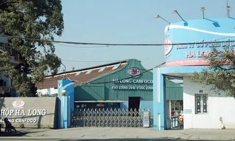 Đồ hộp Hạ Long (CAN) lên tiếng về thông tin tuồn hơn 100 tấn thịt heo bệnh vào nhà máy