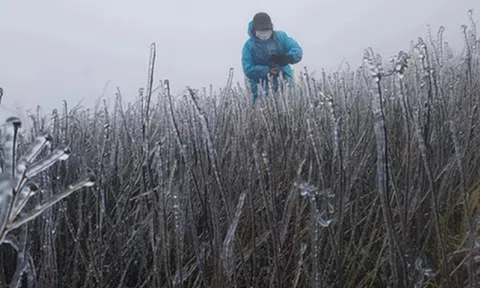Dự báo thời tiết 2/1: Miền Bắc đón không khí lạnh rất mạnh, dự báo nơi rét đậm nhất