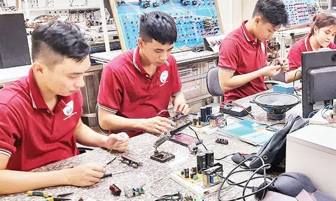 Bảo đảm quyền được định hướng nghề nghiệp và lựa chọn lộ trình học tập của học sinh