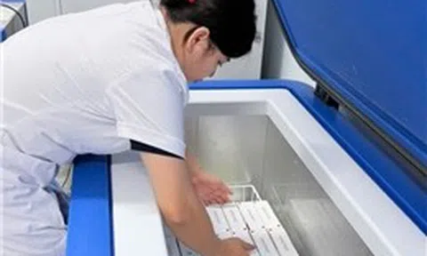 WHO hỗ trợ 9.000 liều vaccine phòng dại cho hai tỉnh có nguy cơ cao tại Việt Nam