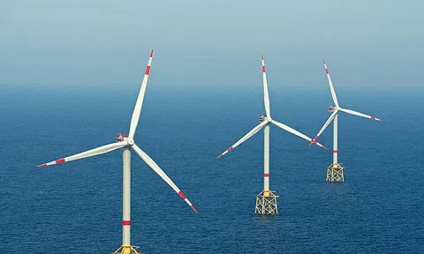 Quy định mới về khảo sát điện gió ngoài khơi