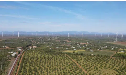 KBC tham gia phát triển điện gió trong chiến lược chuyển dịch năng lượng xanh