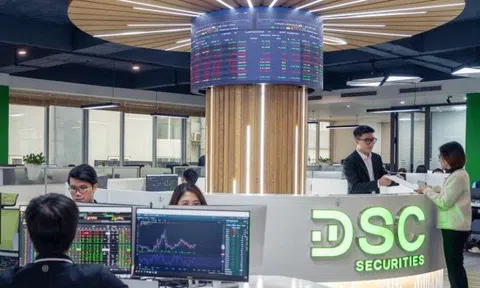 Chứng khoán DSC tiếp cận hạn mức tín dụng 790 tỷ đồng cho nghiệp vụ trái phiếu và kế hoạch phát hành ESOP năm 2026