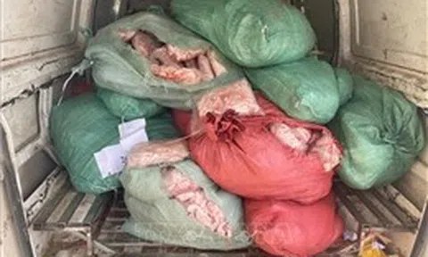 Phát hiện, xử lý vụ vận chuyển 831 kg chân gà đông lạnh bốc mùi hôi, thối