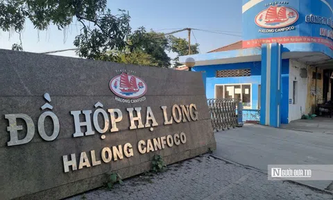 TGĐ Đồ hộp Hạ Long vừa bị bắt: Thu nhập tiền tỷ mỗi năm