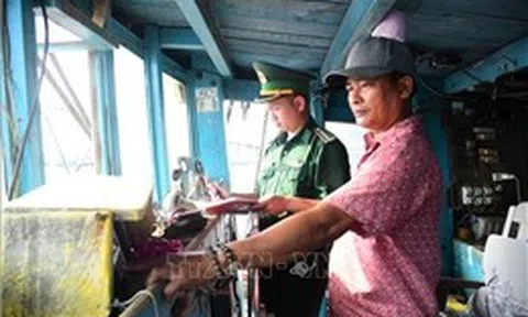 Phát hiện tàu vận chuyển 20.000 lít dầu DO không có giấy tờ hợp pháp