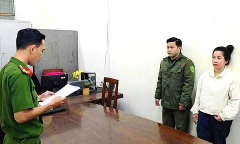 Triệt phá đường dây buôn lậu tôm hùm giống trị giá gần 6,8 tỷ đồng