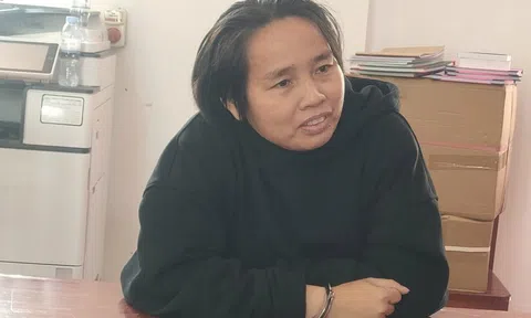 Bắt giam Hồ Thị Hải về hành vi lợi dụng quyền tự do dân chủ