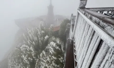 Khoảnh khắc hiếm thấy: “Hoa băng” phủ trắng Fansipan và đỉnh Phia Oắc khi nhiệt độ chạm -3 độ C