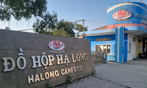 Quảng Ninh yêu cầu bảo vệ thương hiệu "Hạ Long" sau vụ 120 tấn thịt lợn bệnh