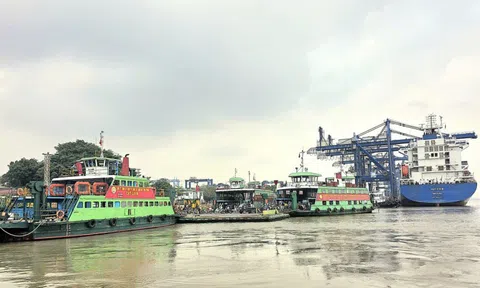 Cầu Cát Lái và Long Hưng: Hai "mảnh ghép" mở trục giao thông chiến lược