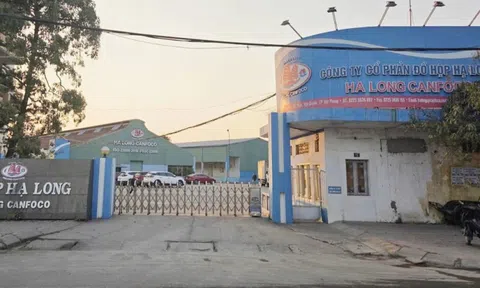 Khởi tố Tổng giám đốc Đồ hộp Hạ Long liên quan 130 tấn thịt nhiễm dịch tả lợn châu Phi