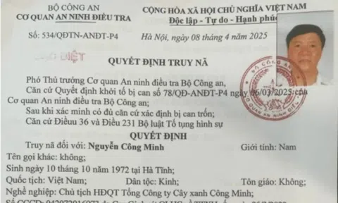 Đề nghị truy tố vắng mặt Chủ tịch HĐQT Công ty cây xanh Công Minh