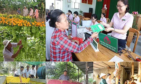 Quy định về tổ chức, hoạt động của Ngân hàng Chính sách xã hội