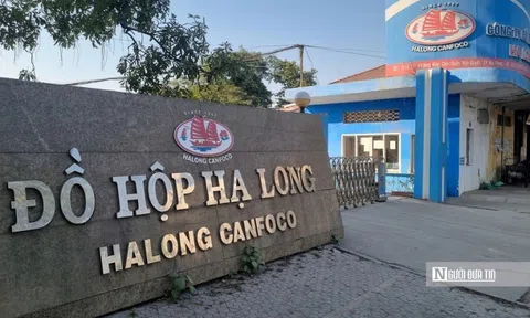 Từ vụ đồ hộp Hạ Long: Bịt "lỗ hổng" trong sản xuất, kinh doanh thực phẩm bẩn thế nào?