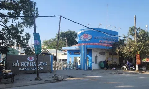 Vụ Công ty CP đồ hộp Hạ Long: Bắt nữ nhân viên kiểm dịch